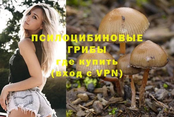 герыч Арсеньев