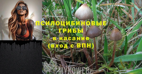 круглые Аркадак