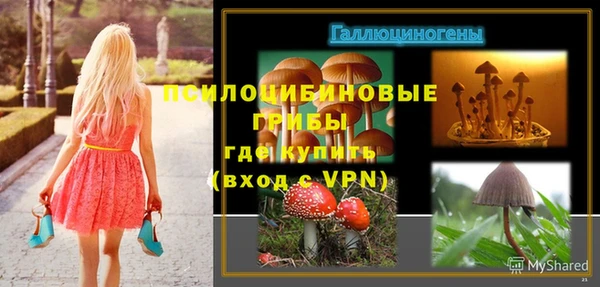круглые Аркадак