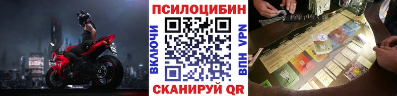 Псилоцибиновые грибы Psilocybe Саяногорск